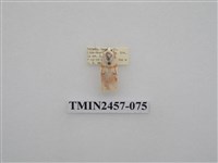 藏品(二斑叉紋苔蛾)的圖片